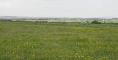 TERRENO ARTENA - COLUBRO (ROMA) VENDESI-TERRENO-ARTENA---Contrada-Cogli-COLUBRO-ROMA