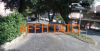 Visualizza Immagine dimensioni reali: